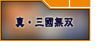 真・三國無双 RMT